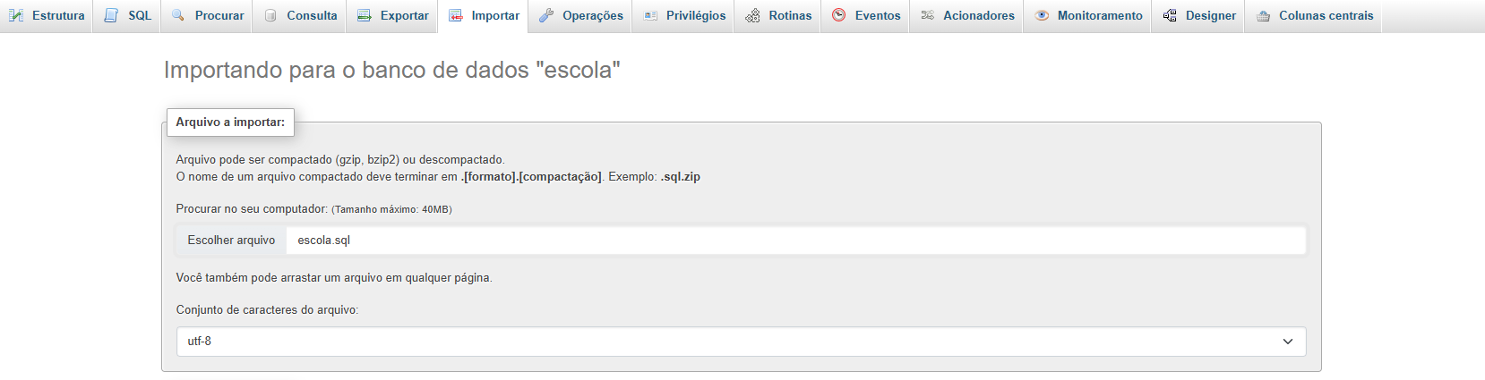 Aba Importar com arquivo selecionado
